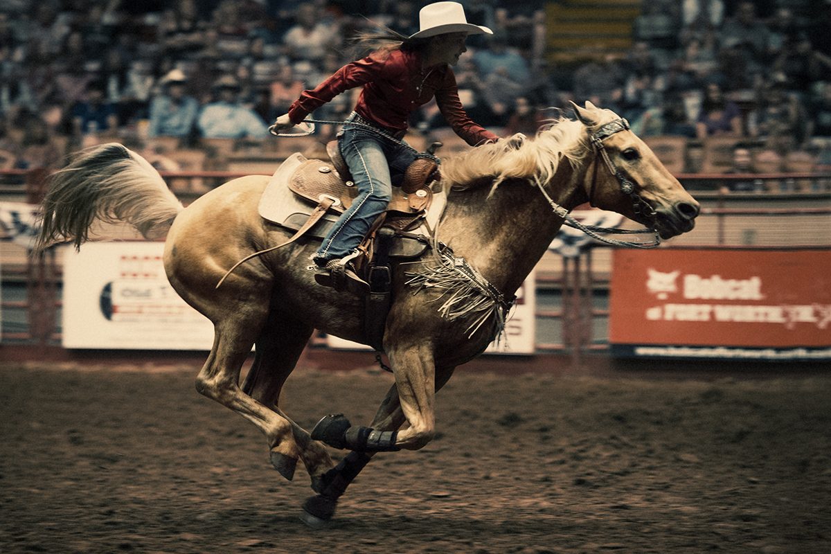 A Texas Rodeo - Thomas Skou.